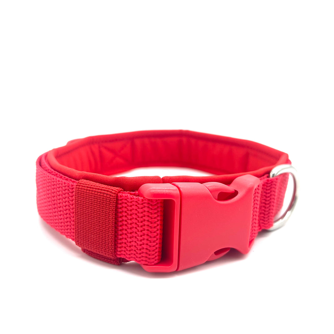 Hochwertiges Hundehalsband aus robustem Material, verstellbar und komfortabel. halsband Rot