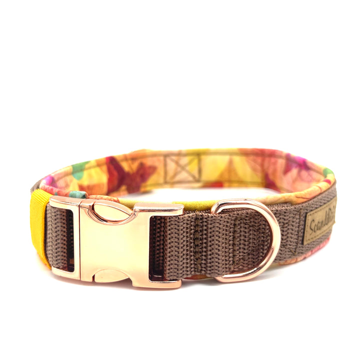 Hundehalsband aus robustem Material, verstellbar und komfortabel. Hunde Halsband Butterflies Schmetterling Braun Orange