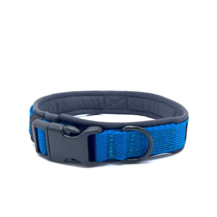 Hochwertiges Hundehalsband aus robustem Material, verstellbar und komfortabel, ideal für Spaziergänge und Sicherheit, in modernem Design. Hunde Halsband Schwarz Black Queen Königsblau Blau Blue