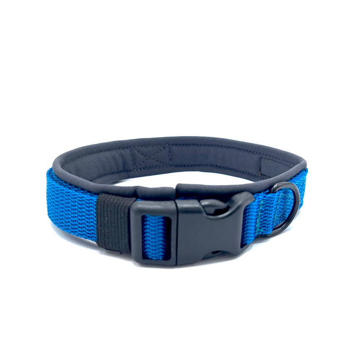 Hochwertiges Hundehalsband aus robustem Material, verstellbar und komfortabel, ideal für Spaziergänge und Sicherheit, in modernem Design. Hunde Halsband Schwarz Black Queen Königsblau Blau Blue