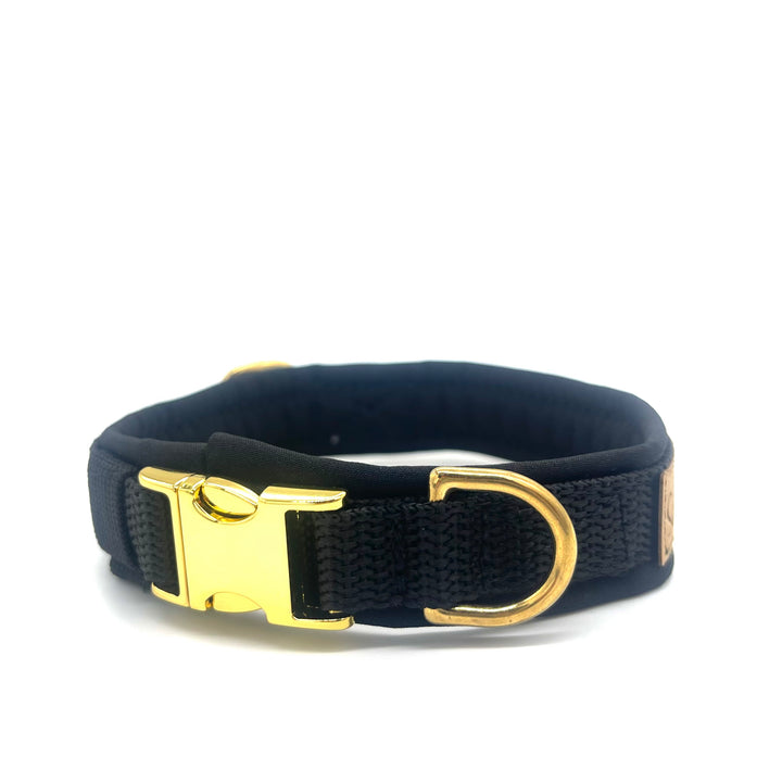 Hochwertiges Hundehalsband aus robustem Material, verstellbar und komfortabel, ideal für Spaziergänge und Sicherheit, in modernem Design. Hunde Halsband Schwarz Black Beauty