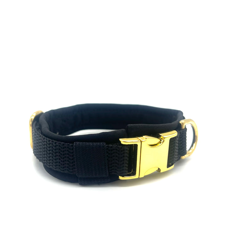 Hochwertiges Hundehalsband aus robustem Material, verstellbar und komfortabel, ideal für Spaziergänge und Sicherheit, in modernem Design. Hunde Halsband Schwarz Black Beauty