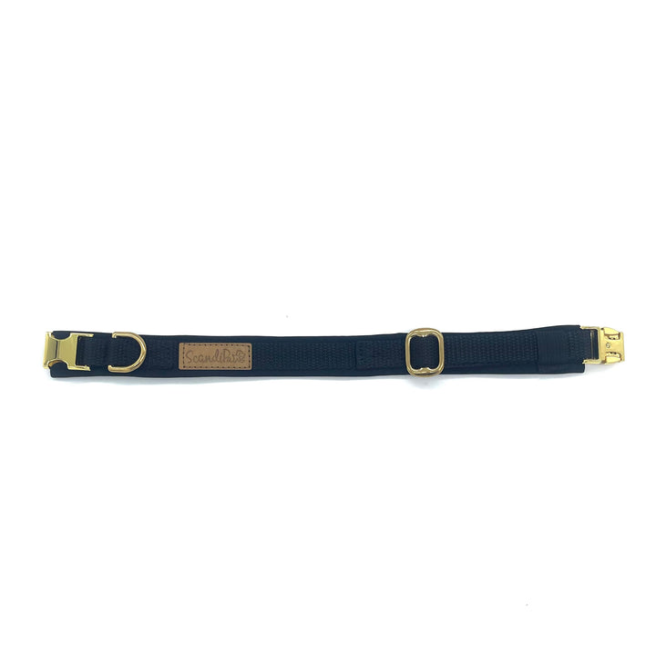 Hochwertiges Hundehalsband aus robustem Material, verstellbar und komfortabel, ideal für Spaziergänge und Sicherheit, in modernem Design. Hunde Halsband Schwarz Black Beauty
