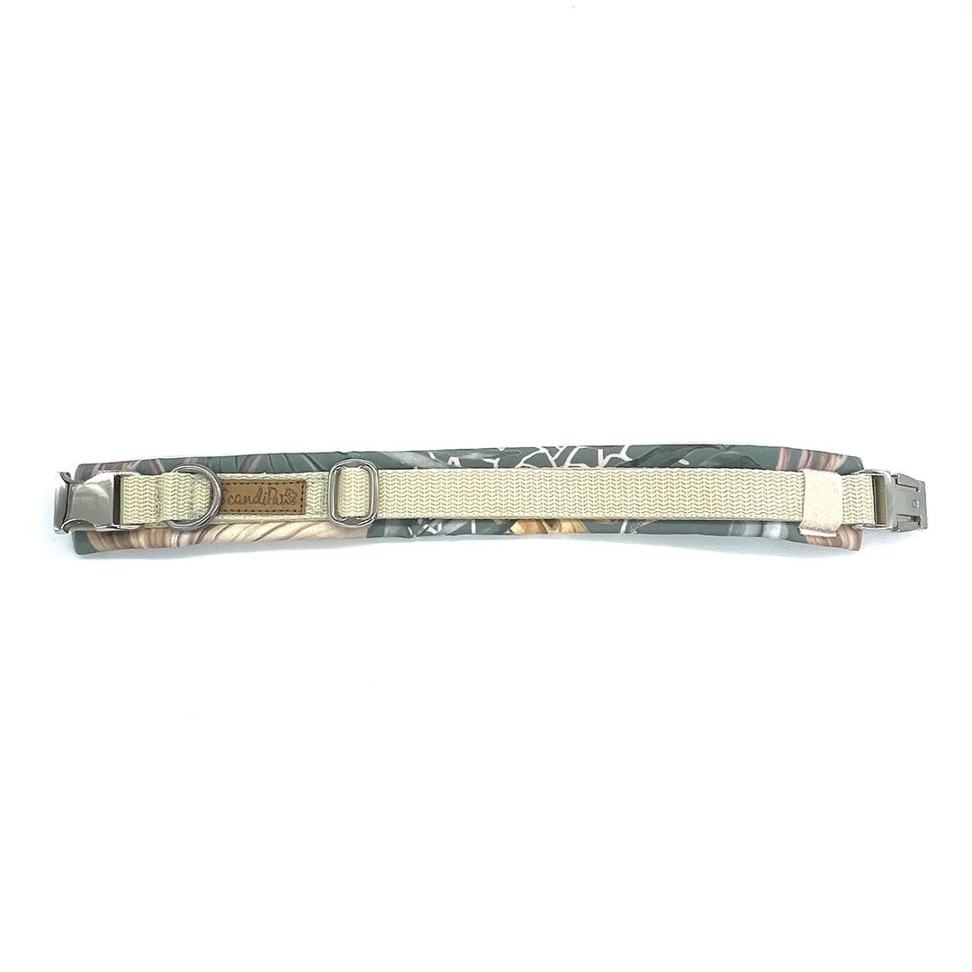Hochwertiges Hundehalsband aus robustem Material, verstellbar und komfortabel. halsband wollweiß scannt leaves