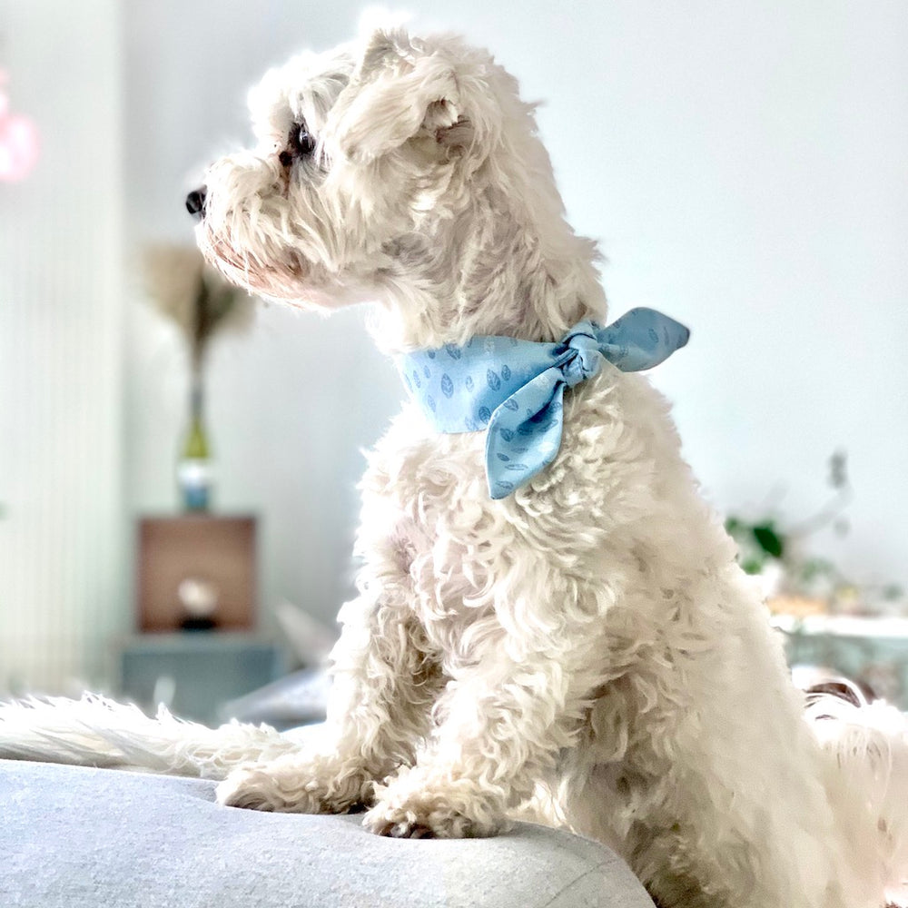 Hunde Halsschleife von ScandiPaws 