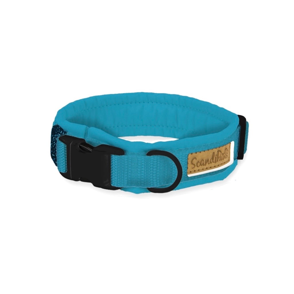 Hunde Halsband Aquamarin