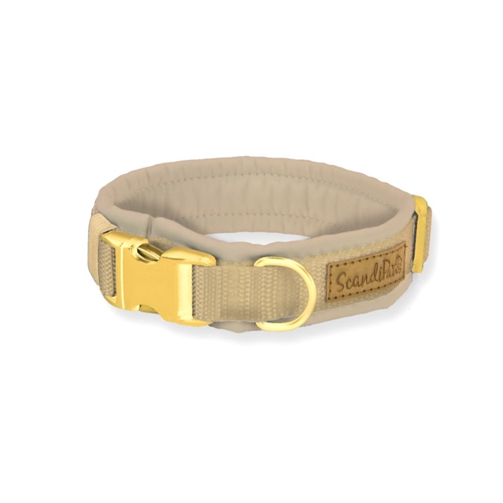 Hunde Halsband Beige