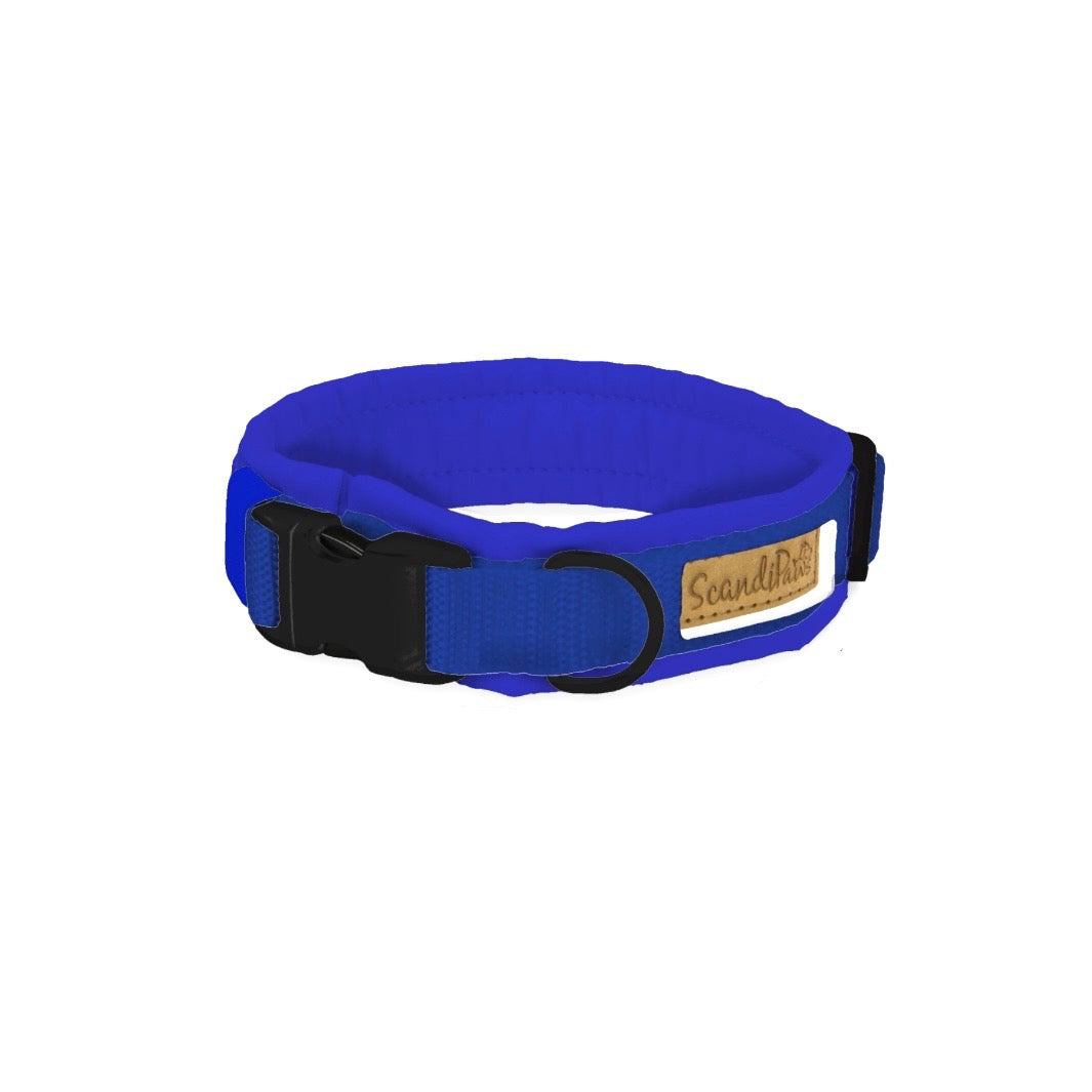 Hunde Halsband Königsblau