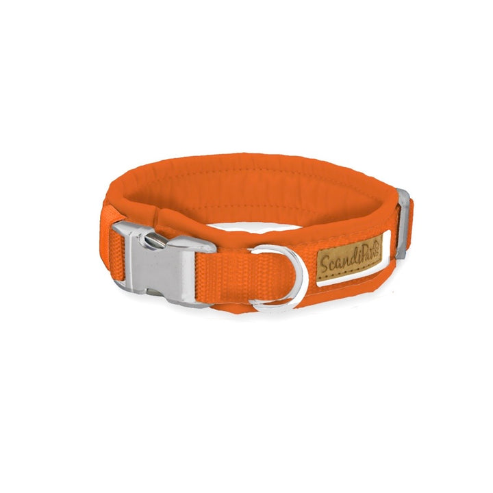 Hunde Halsband Orange