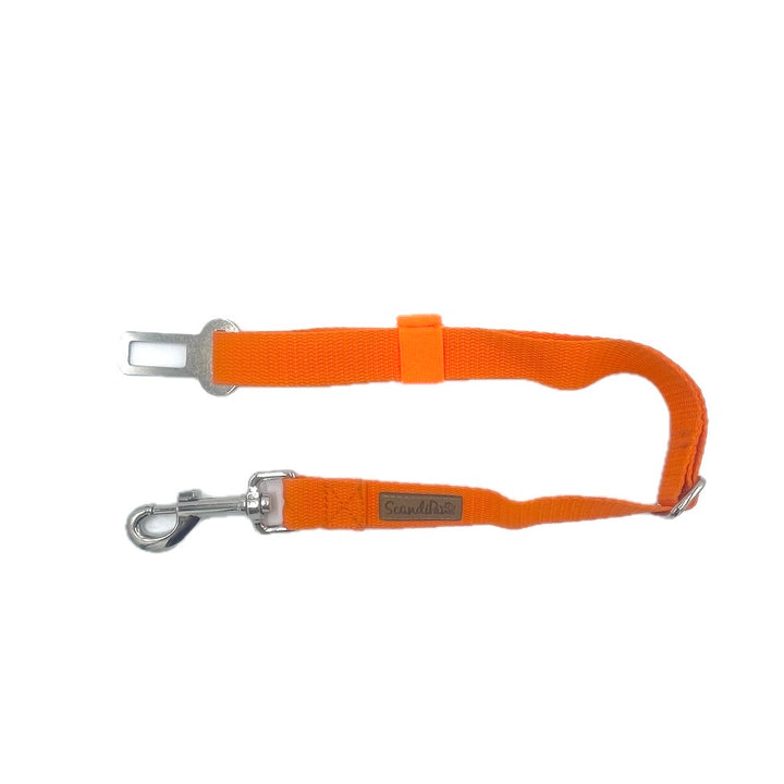 Autogurt für den Hund in Orange