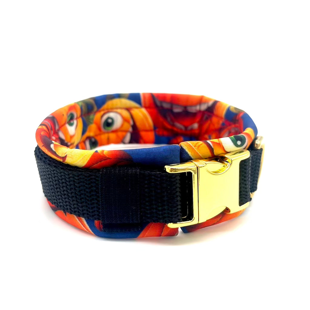 Herbst Hund Halsband Softshell Kürbis Schwarz Orange 