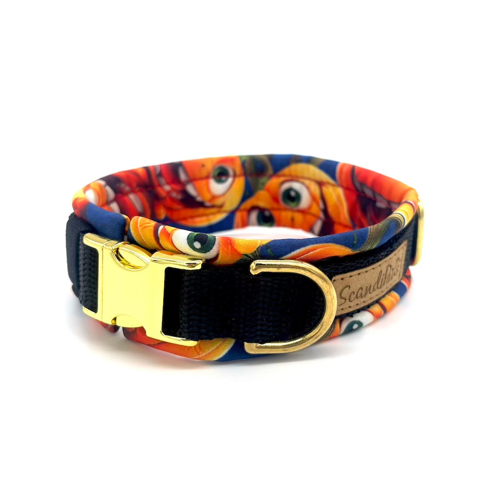 Herbst Hund Halsband Softshell Kürbis Schwarz Orange 