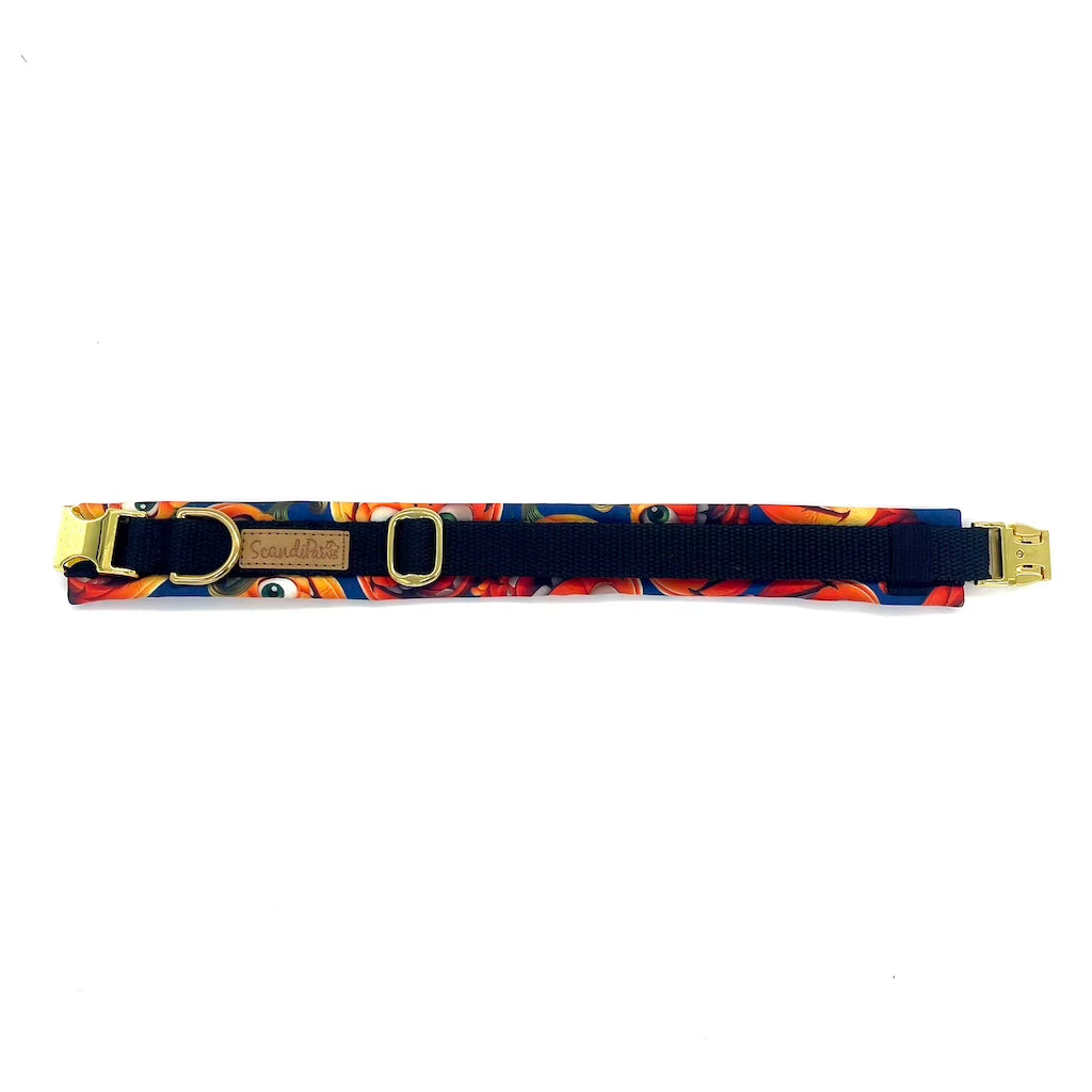 Herbst Hund Halsband Softshell Kürbis Schwarz Orange 