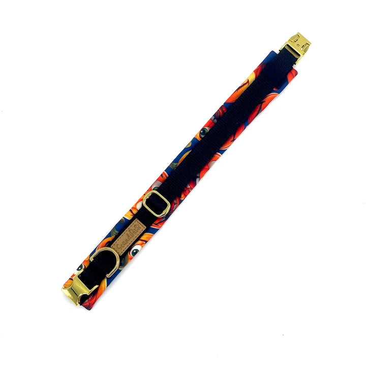 Herbst Hund Halsband Softshell Kürbis Schwarz Orange 