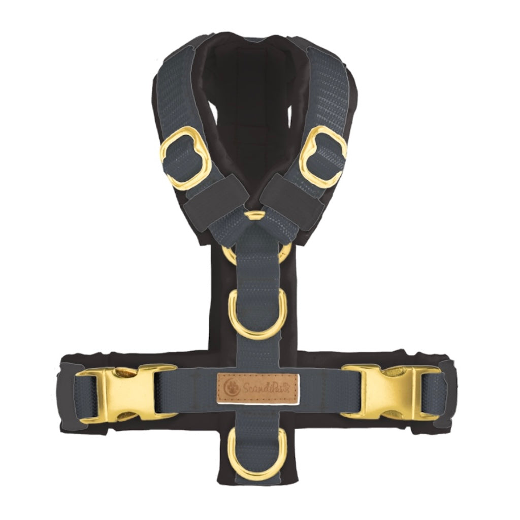 Hundegeschirr Anthrazit Gold