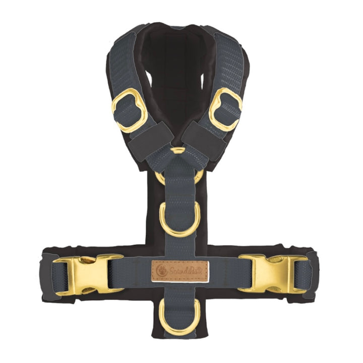 Hundegeschirr Anthrazit Gold