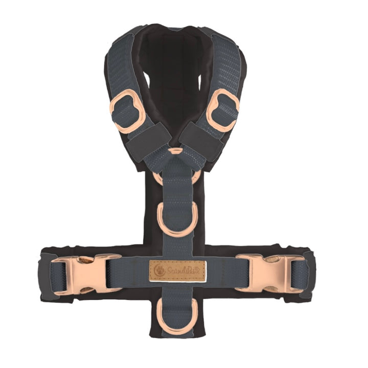 Hundegeschirr Anthrazit Rosegold