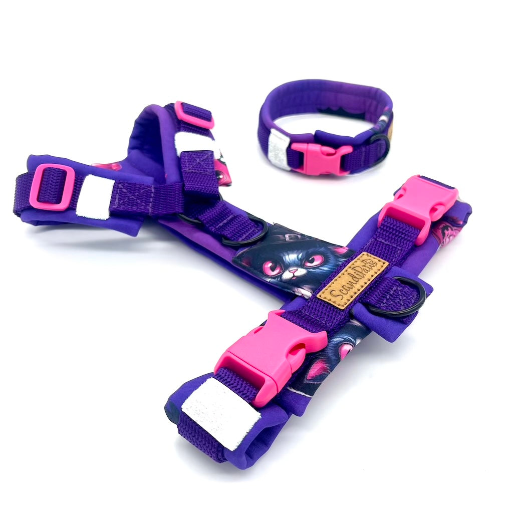 Halloween Halsband Purple-Pink BATS