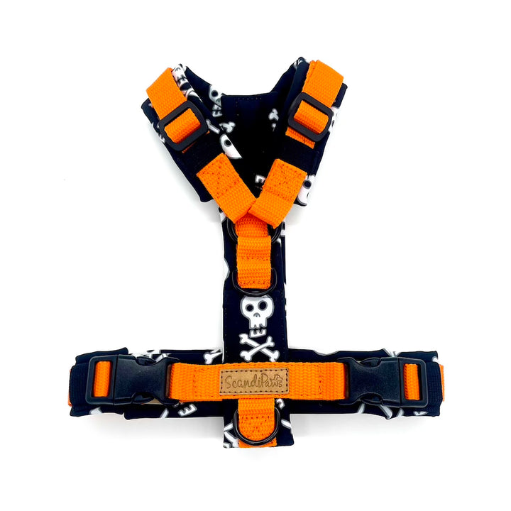 Halloween Hundegeschirr Orange-Black SKULLS
