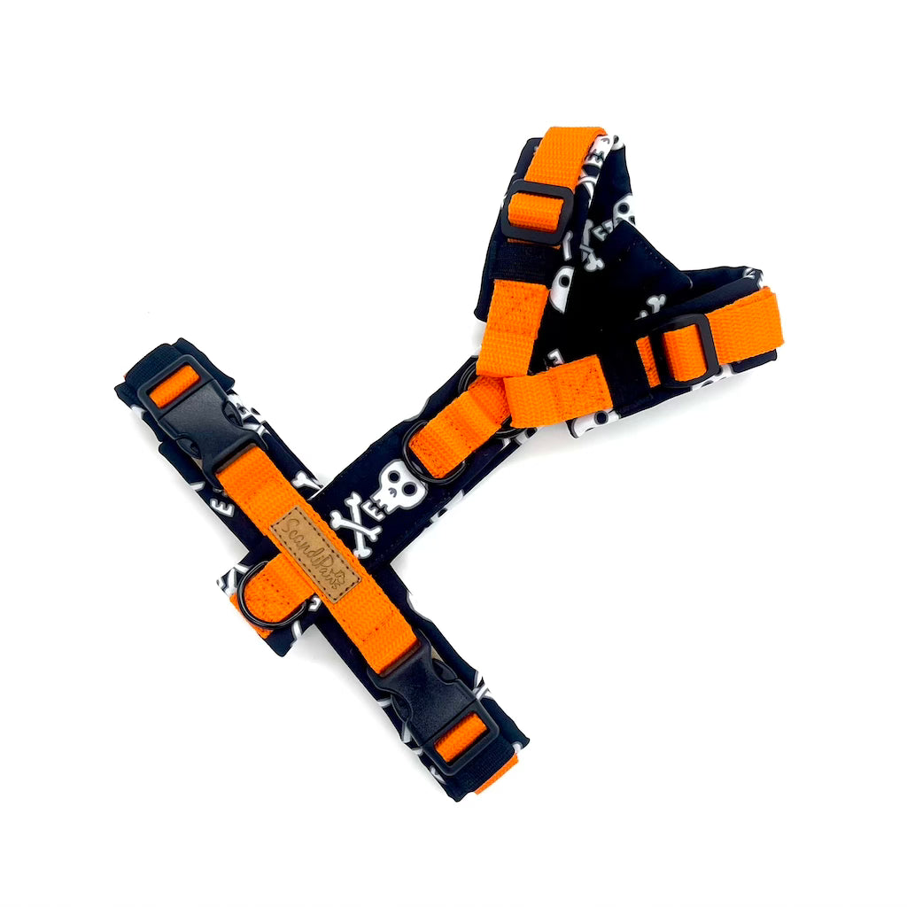 Halloween Hundegeschirr Orange-Black SKULLS