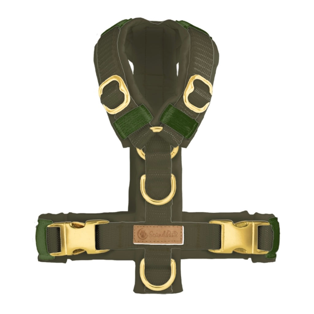 Hundegeschirr Khaki Gold