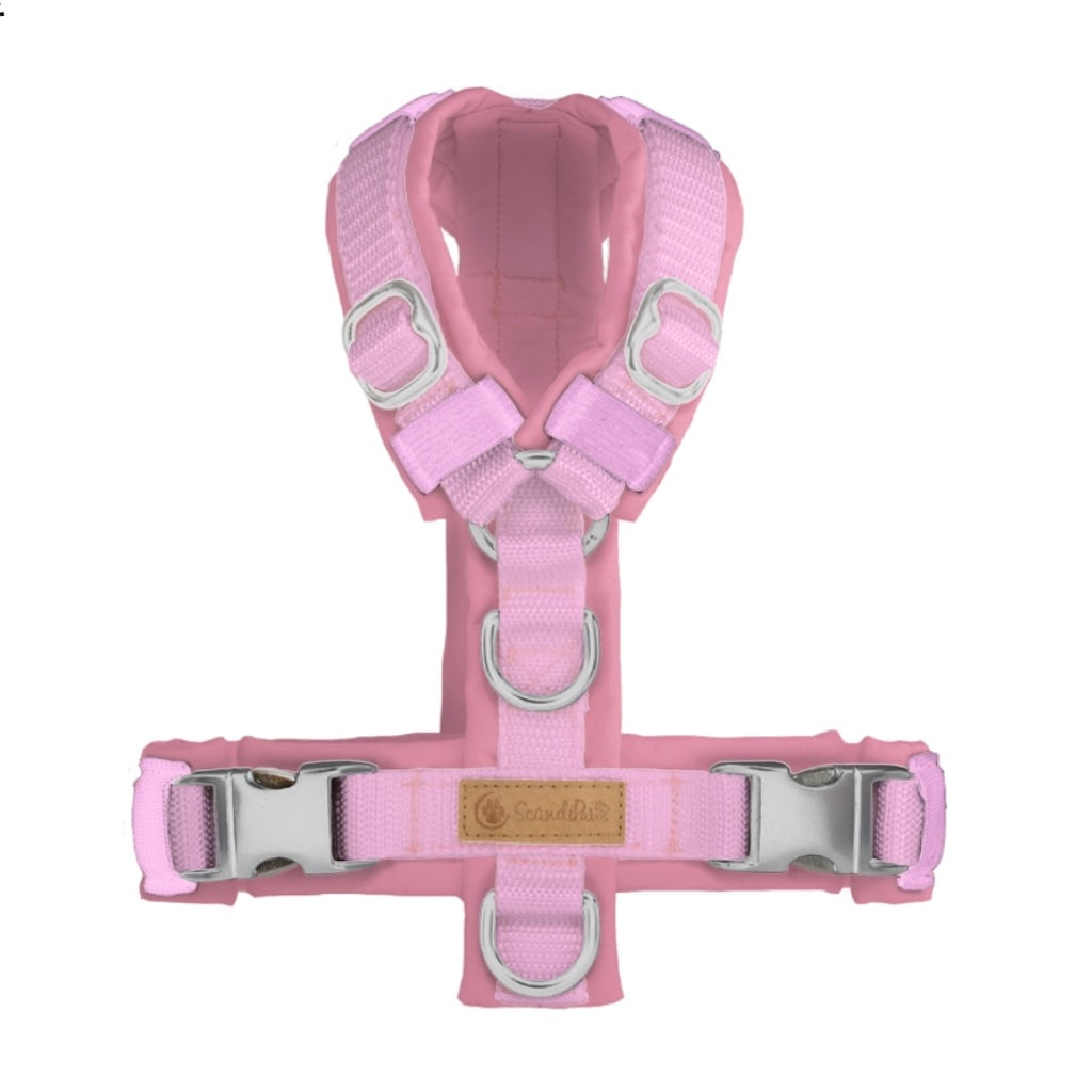 Hundegeschirr Rosa Silber