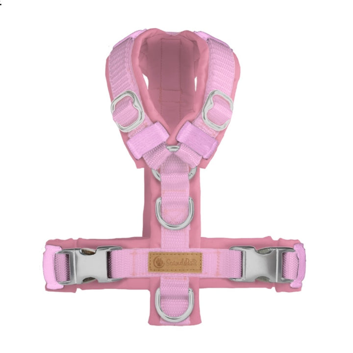 Hundegeschirr Rosa Silber