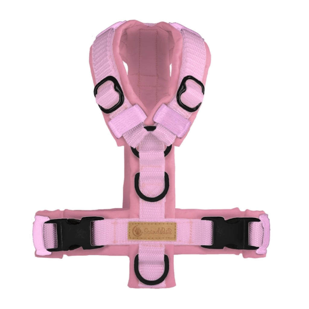 Hundegeschirr Rosa Schwarz
