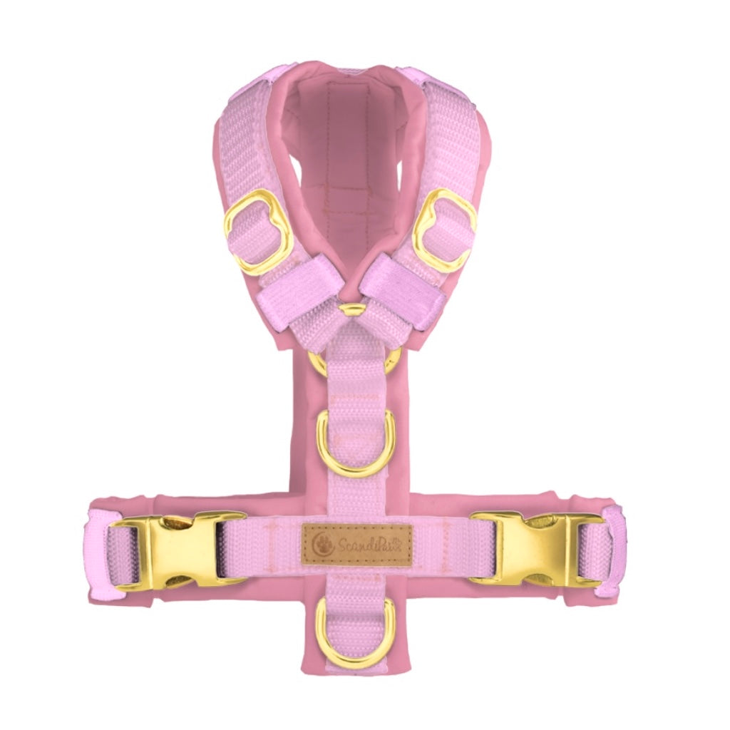 Hundegeschirr Rosa Gold