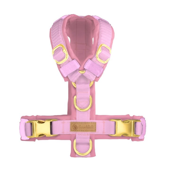 Hundegeschirr Rosa Gold