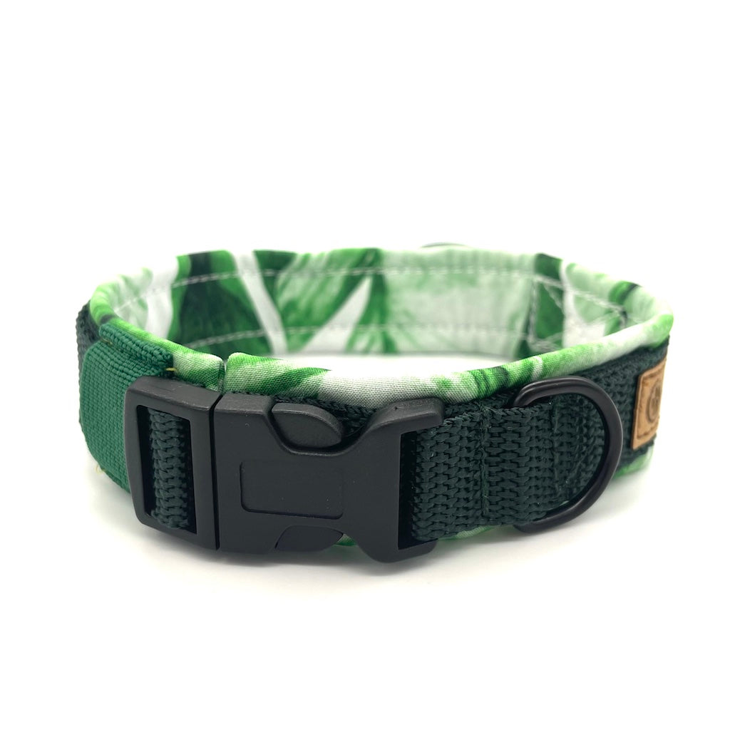 Hochwertiges Hundehalsband aus robustem Material, verstellbar und komfortabel, ideal für Spaziergänge und Sicherheit, in modernem Design. Halsband von ScandiPaws Banana Jo