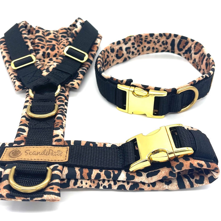 Hochwertiges Hundehalsband aus robustem Material, verstellbar und komfortabel. Halsband Leopard schwarz 