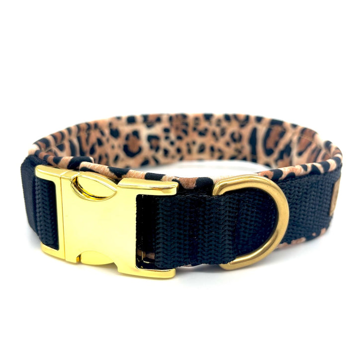Hochwertiges Hundehalsband aus robustem Material, verstellbar und komfortabel. Halsband Leopard schwarz 
