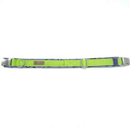 Halsband von ScandiPaws crazy Enough