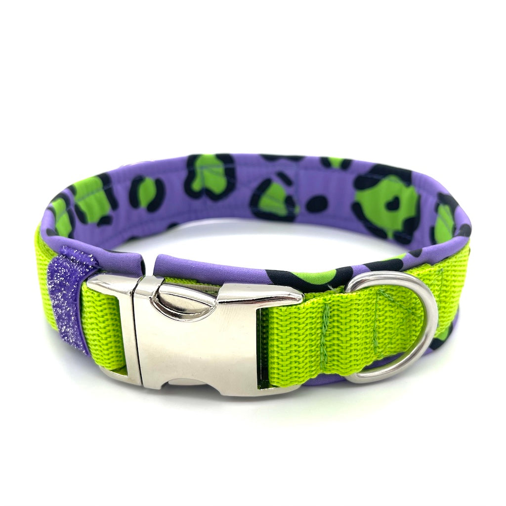 Hochwertiges Hundehalsband aus robustem Material, verstellbar und komfortabel, ideal für Spaziergänge und Sicherheit, in modernem Design. crazy enough Lemon lila silber grün von ScandiPaws