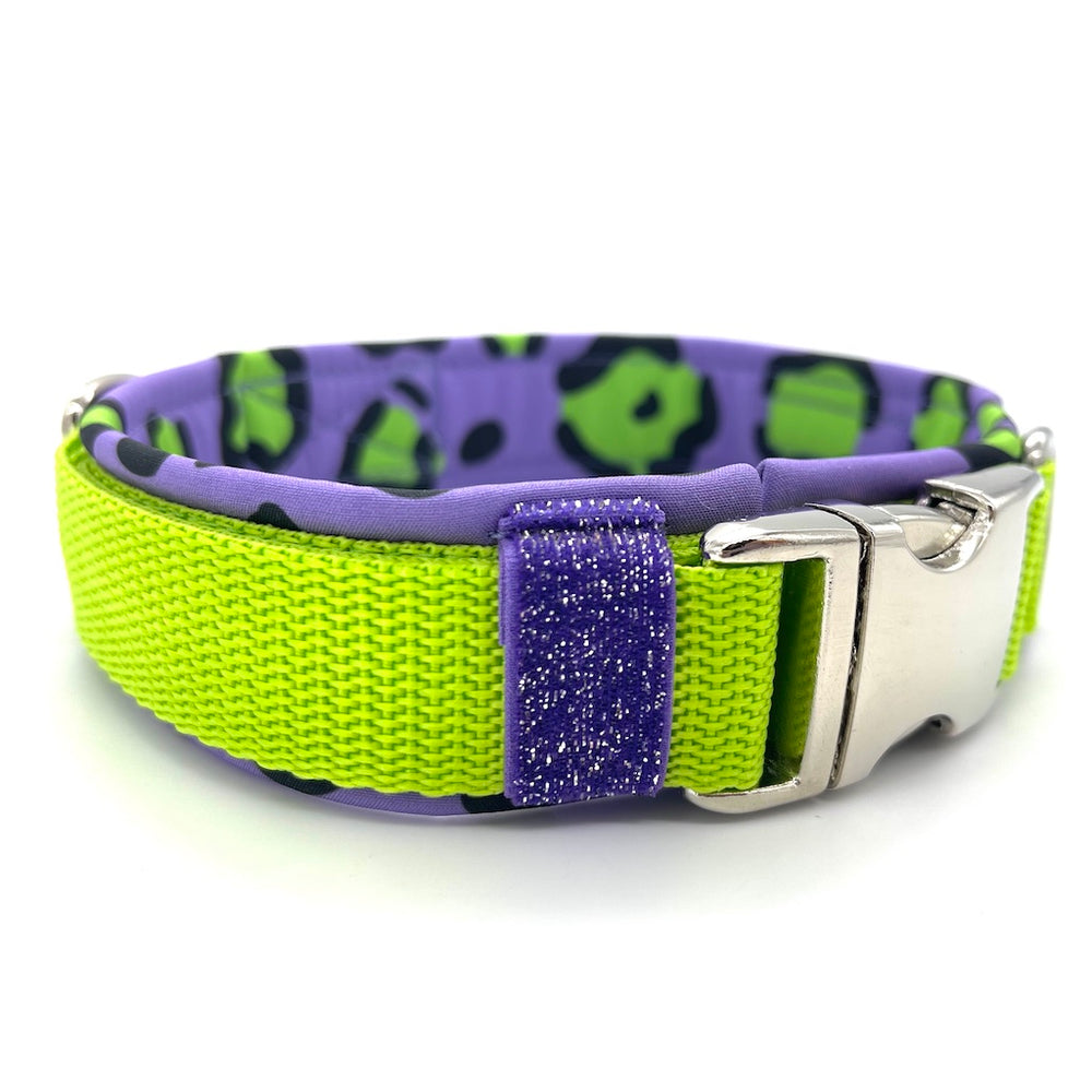 Hochwertiges Hundehalsband aus robustem Material, verstellbar und komfortabel, ideal für Spaziergänge und Sicherheit, in modernem Design. crazy enough Lemon lila silber grün von ScandiPaws