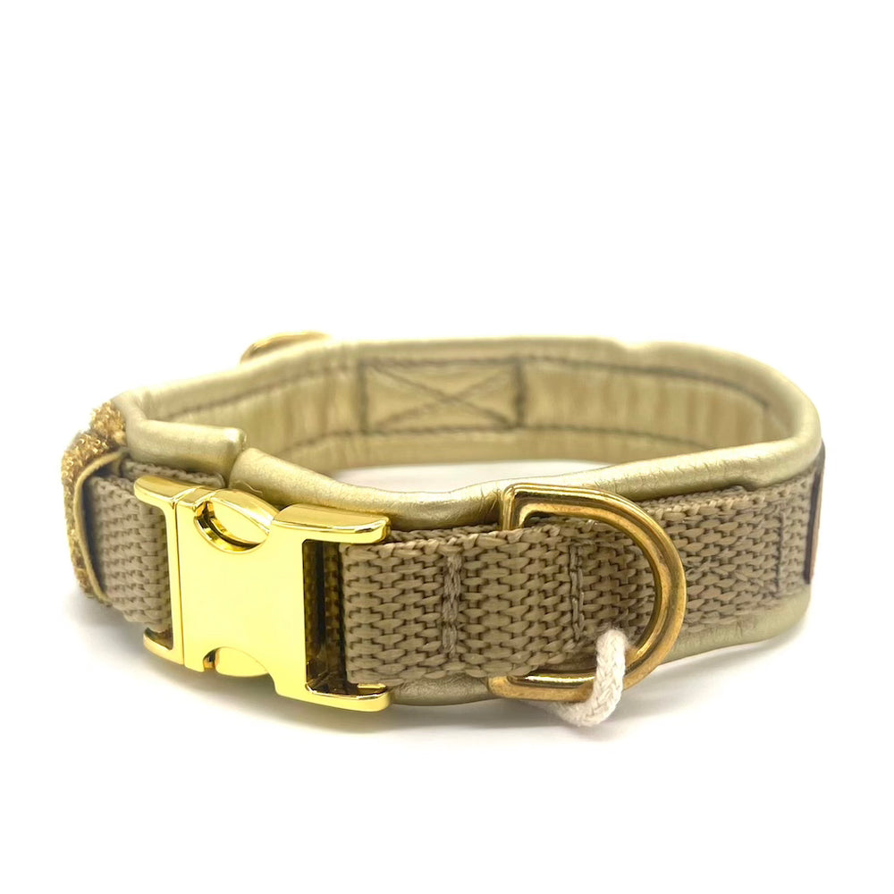Hochwertiges Hundehalsband aus robustem Material, verstellbar und komfortabel, ideal für Spaziergänge und Sicherheit, in modernem Design. Gold Premium Hunde Halsband verstellbar gold metallic von ScandiPaws