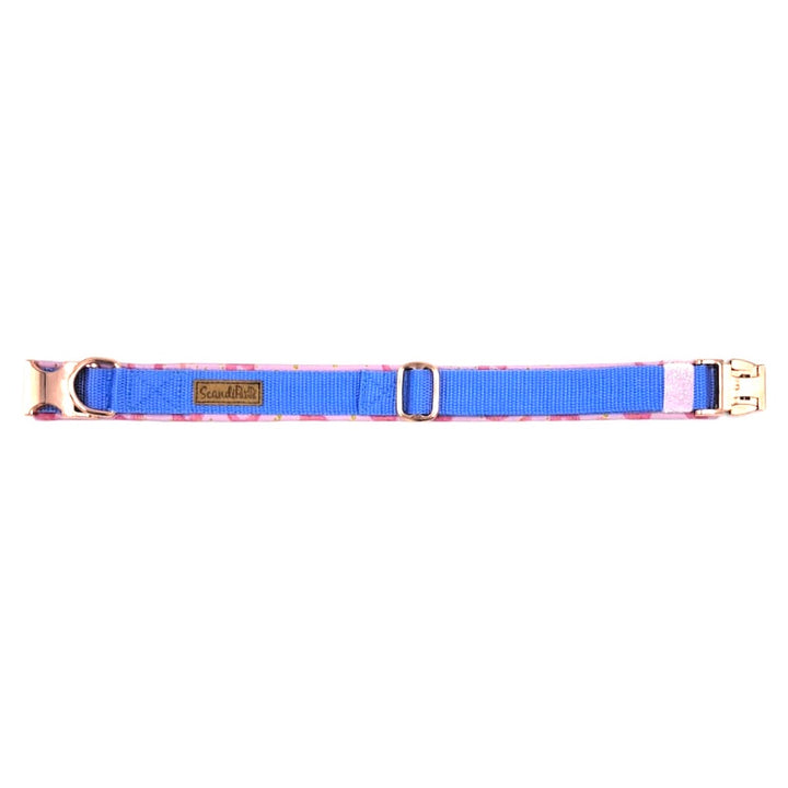 Hunde Halsband Hugs&Kisses