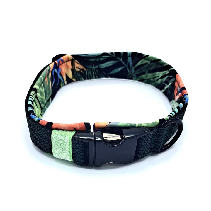 Hochwertiges Hundehalsband aus robustem Material, verstellbar und komfortabel, ideal für Spaziergänge und Sicherheit, in modernem Design. jungle grün von scandipaws