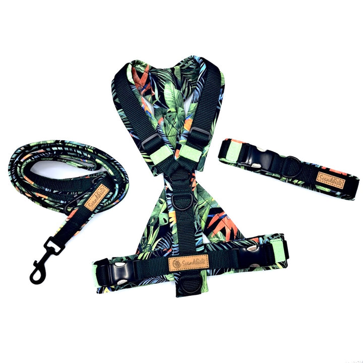 Hochwertiges Hundehalsband aus robustem Material, verstellbar und komfortabel, ideal für Spaziergänge und Sicherheit, in modernem Design. jungle grün von scandipaws 