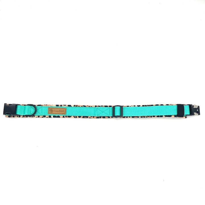 Hochwertiges Hundehalsband aus robustem Material, verstellbar und komfortabel, ideal für Spaziergänge und Sicherheit, in modernem Design. Mint Leopard