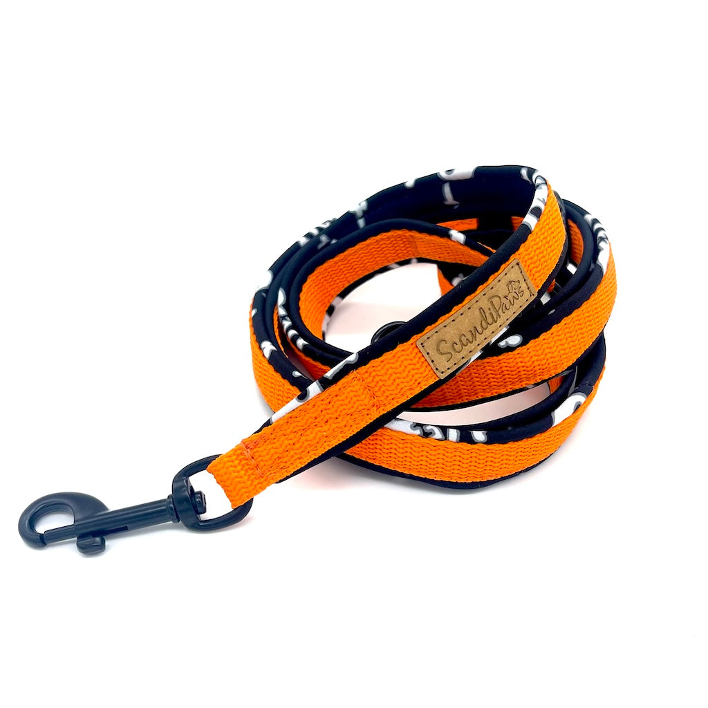 Halloween Hundeleine Orange Schwarz von ScandiPaws Skulls Totenkopf
