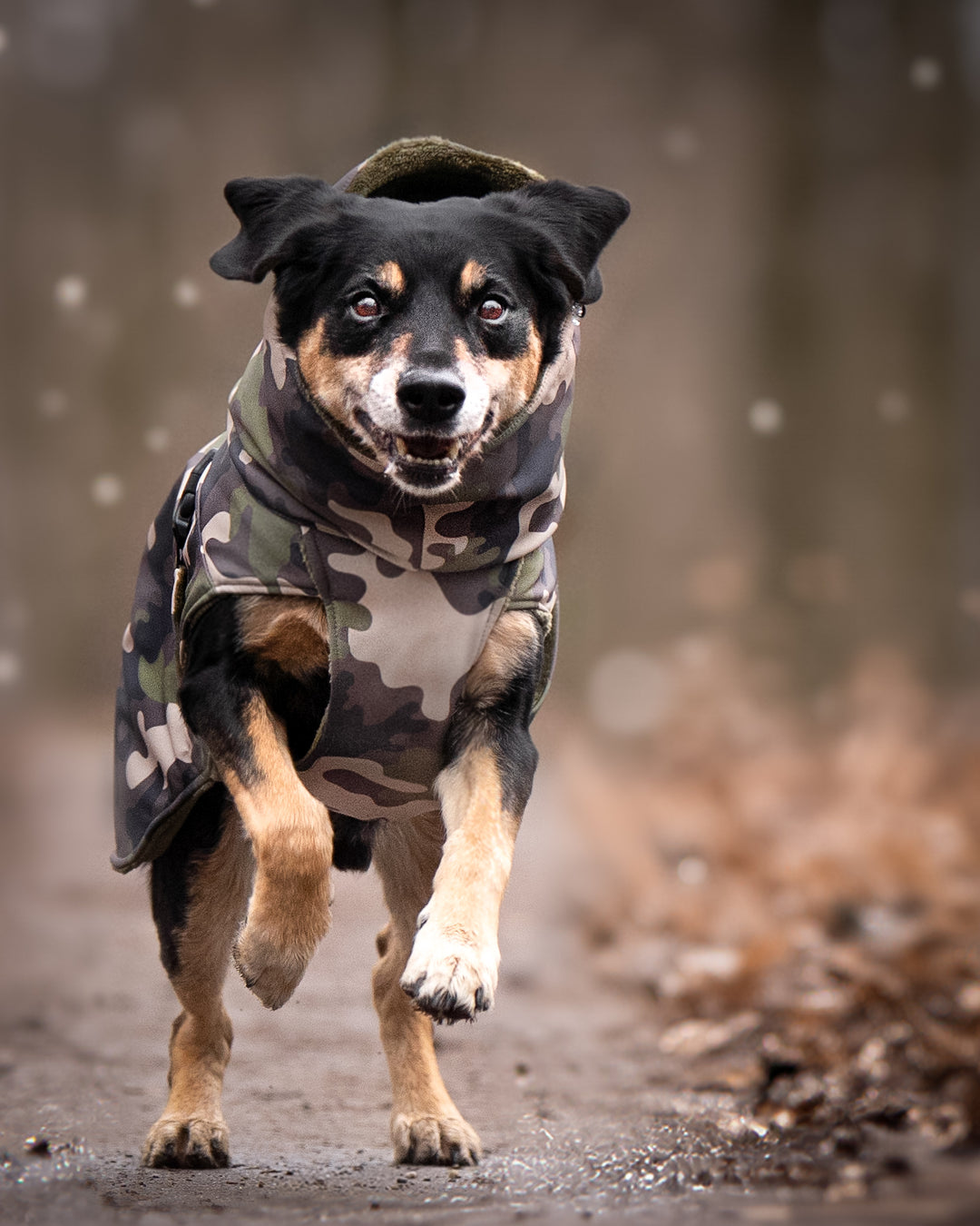 Hundemantel Camouflage