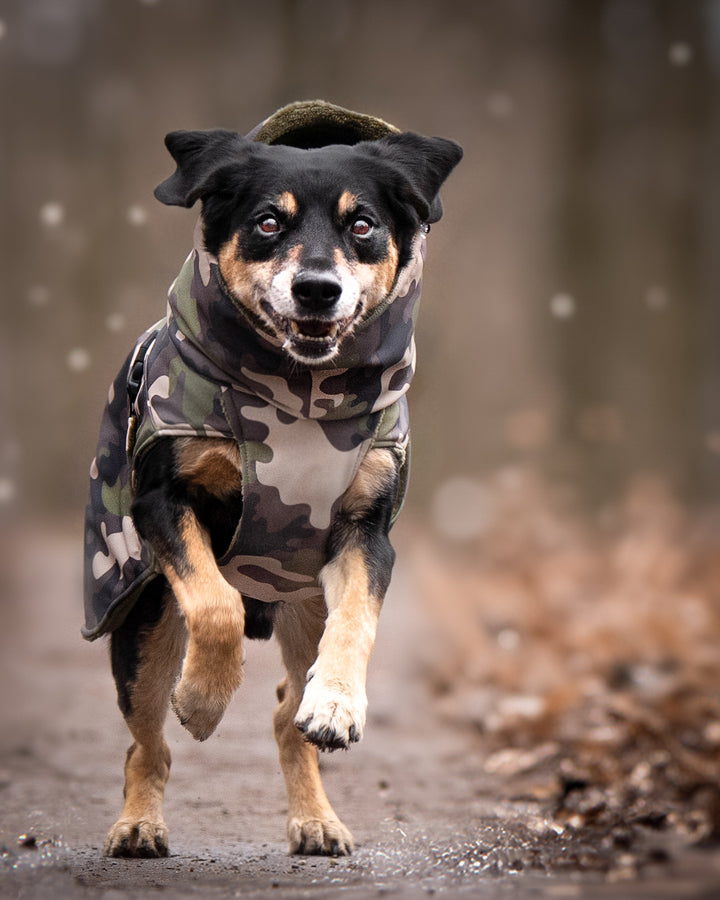 Hundemantel Camouflage