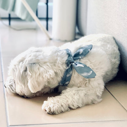 ScandiPaws Hunde Halsschleife "Boho Feather"