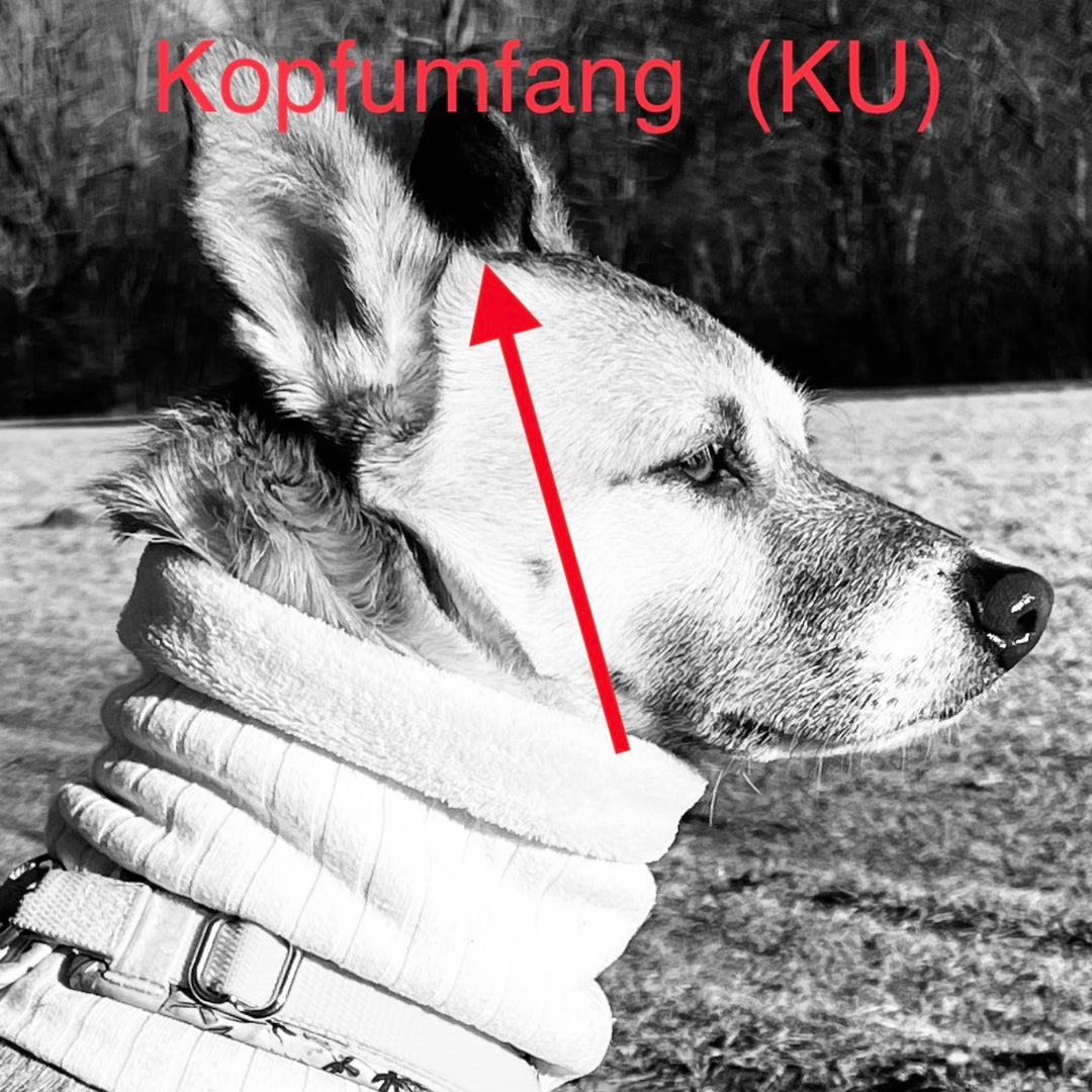 Hundeschal Messanleitung von ScandiPaws