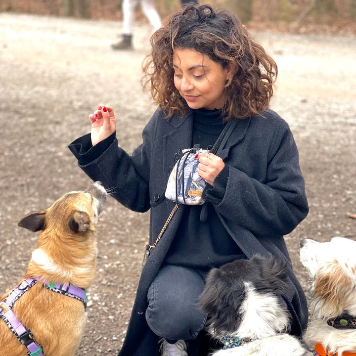 Hunde Leckerlibeutel Goodiebag und Futterbeutel für Unterwegs. Ob beim Gassi, Spaziergänge oder Training Rosa