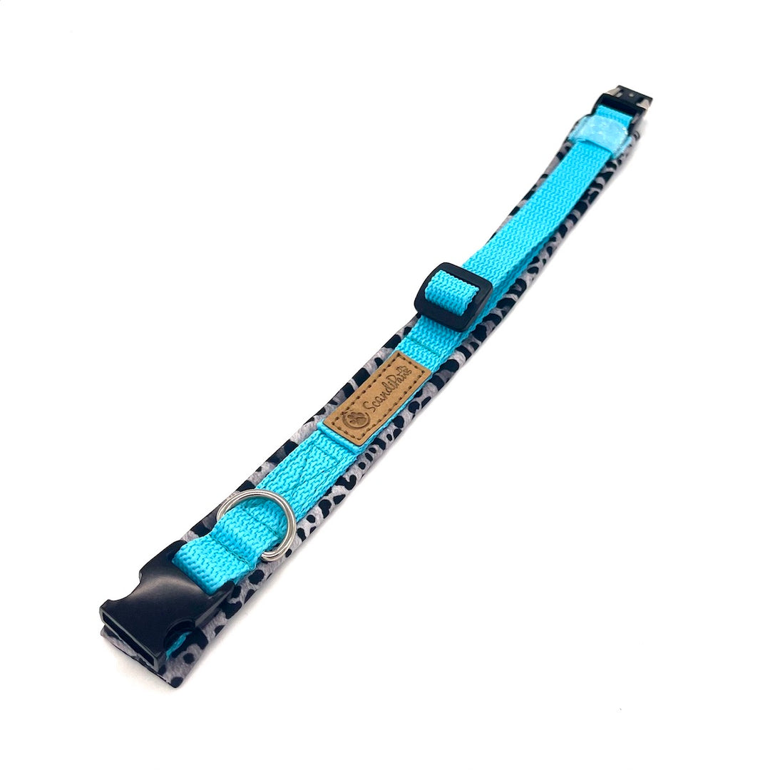 Hochwertiges Hundehalsband aus robustem Material, verstellbar und komfortabel, ideal für Spaziergänge und Sicherheit, in modernem Design. Blau Türkis Leopard Blue Grey leo