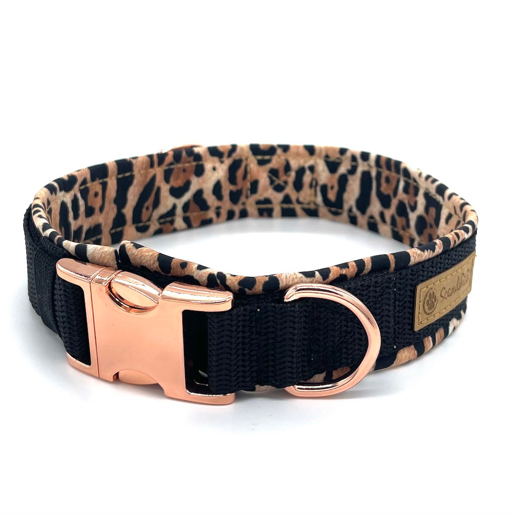 Hochwertiges Hundehalsband aus robustem Material, verstellbar und komfortabel. Halsband Leopard schwarz 